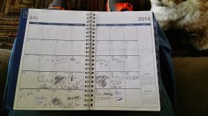 Once I finally admitted she was right.