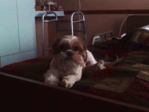 Ahhh, ha ha haaa. Are you done? Okay. Now let's get serious. This stuff ain't for wimps.